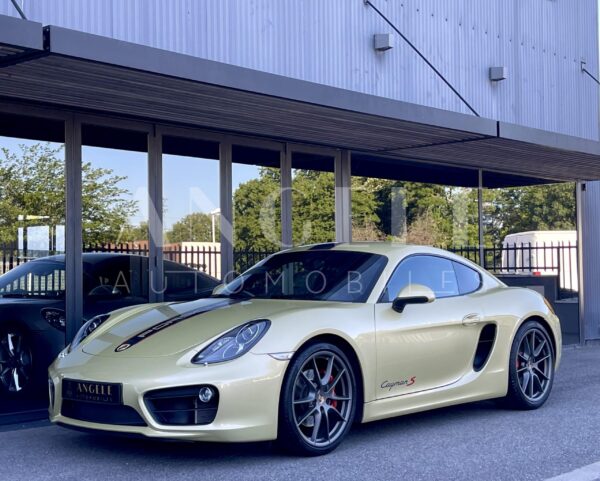 PORSCHE CAYMAN Lime Gold – Image 28