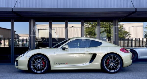 PORSCHE CAYMAN Lime Gold – Image 20