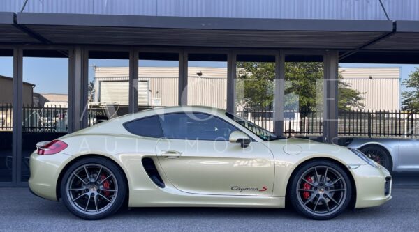 PORSCHE CAYMAN Lime Gold – Image 14