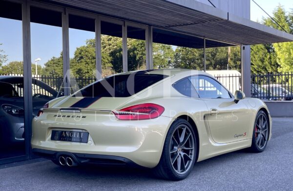 PORSCHE CAYMAN Lime Gold – Image 30