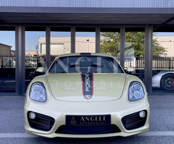 PORSCHE CAYMAN Lime Gold – Image 26