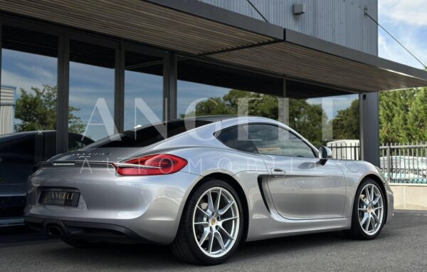 CAYMAN 981 – Image 9