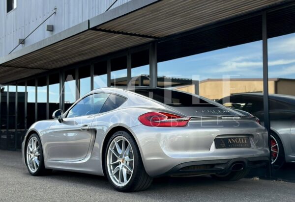 CAYMAN 981 – Image 2