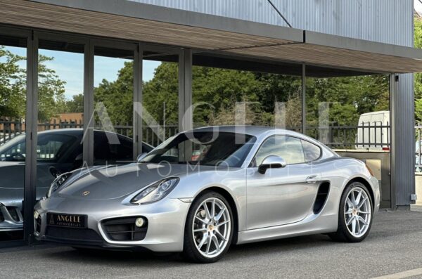 CAYMAN 981