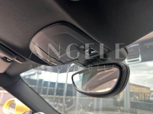 PORSCHE CAYMAN Lime Gold – Image 21
