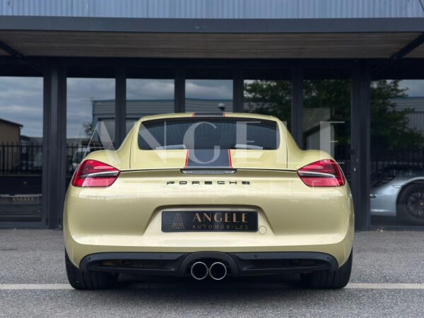 PORSCHE CAYMAN Lime Gold – Image 12
