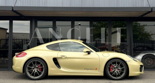 PORSCHE CAYMAN Lime Gold – Image 19