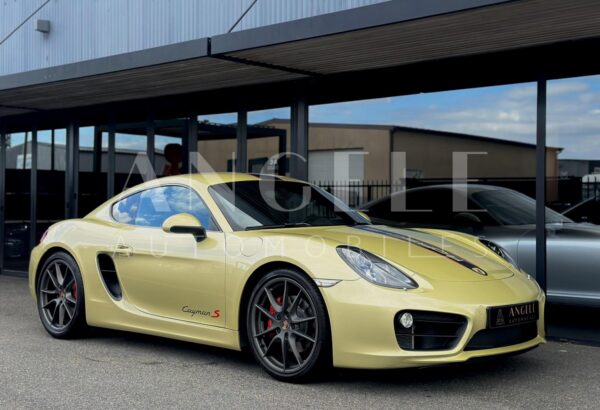 PORSCHE CAYMAN Lime Gold – Image 25