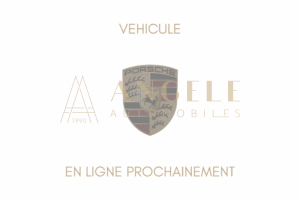 PORSCHE EN LIGNE PROCHAINEMENT (1)