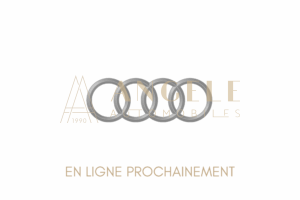 AUDI EN LIGNE PROCHAINEMENT (2)
